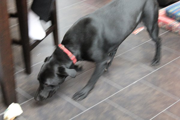 New Camera Dec2010 066